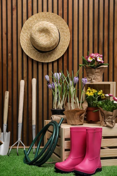 Композиція з різними інструментами для садівництва на штучній траві на дерев'яній стіні — стокове фото