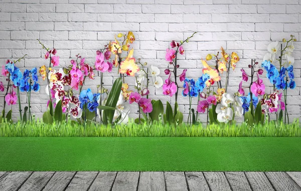 Terraço de madeira perto de flores florescentes e cerca de tijolo ao ar livre, espaço para texto. Jardinagem de paisagem — Fotografia de Stock