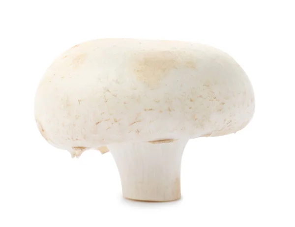 Frische rohe Champignon-Pilze auf weißem Hintergrund — Stockfoto