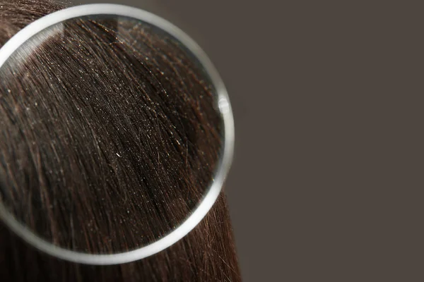 Closeup of woman with dandruff in her hair on grey background, view through magnifying glass. Space for text — Stock Photo, Image