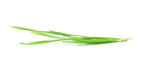 Beyaz zemin üzerine yeşil organik buğday çimen — Stok fotoğraf