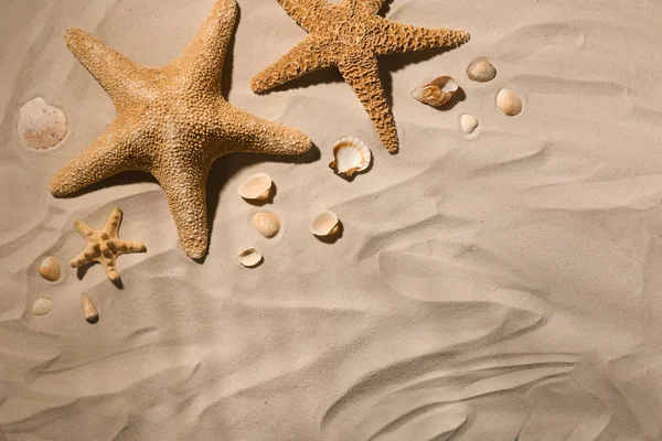 Rozgwiazdy i muszle na plaży piasek, widok z góry. Miejsca na tekst — Zdjęcie stockowe