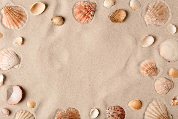 Ракушки на песке, вид сверху. Пространство для текста — стоковое фото
