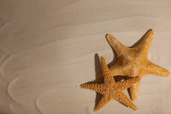 Zeesterren op strand zand, bovenaanzicht. Ruimte voor tekst — Stockfoto