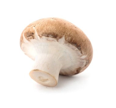 Beyaz arka plan üzerinde taze çiğ champignon mantar