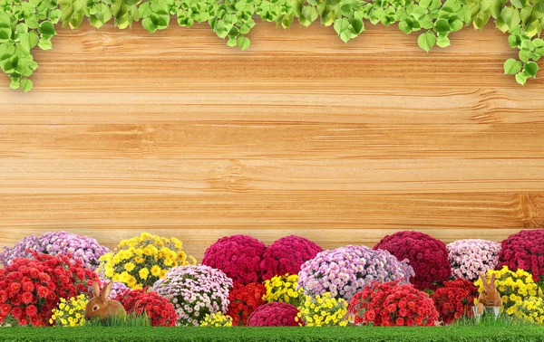 Coelhinhos bonitos na grama verde perto de flores florescendo contra fundo de madeira, espaço para texto. Jardinagem de paisagem — Fotografia de Stock