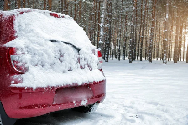 Modern car on snowy road in winter forest. Space for text — Stock Photo, Image