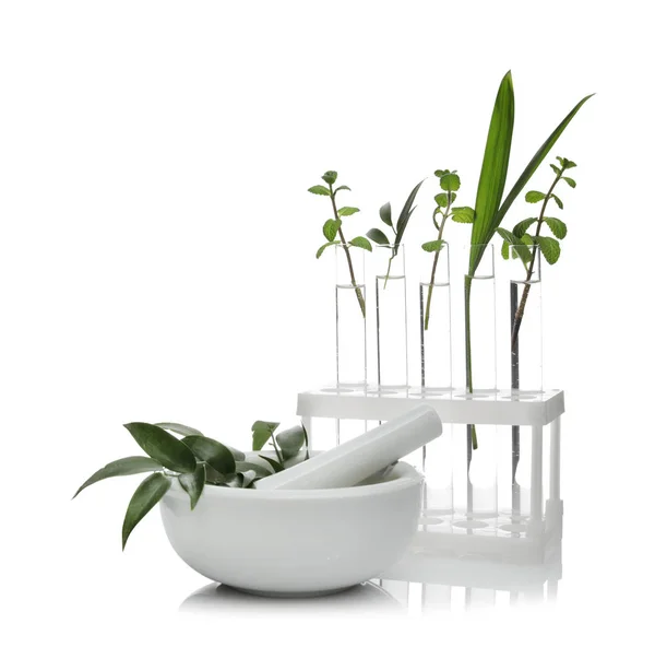 試験管と白で隔離の植物とモルタル。有機化学 — ストック写真