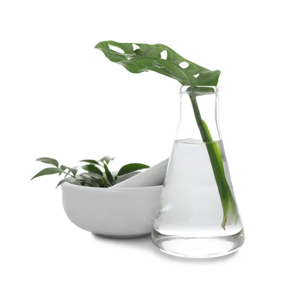 Frasco e argamassa com plantas exóticas isoladas sobre branco. Química orgânica — Fotografia de Stock