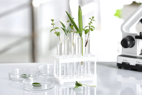 Artículos de vidrio de laboratorio con diferentes plantas en la mesa sobre fondo borroso. Investigación química —  Fotos de Stock