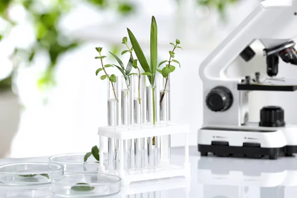 Laboratoriumglaswerk met verschillende planten op tafel tegen onscherpe achtergrond. Chemie onderzoek — Stockfoto