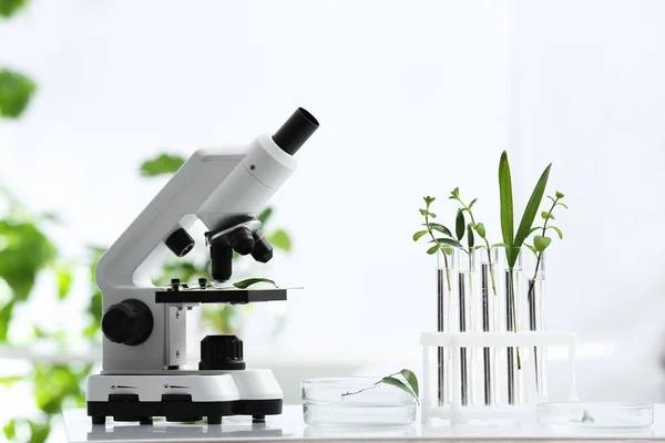 Laboratoriumglaswerk met verschillende planten en Microscoop op tafel tegen onscherpe achtergrond. Chemie onderzoek — Stockfoto