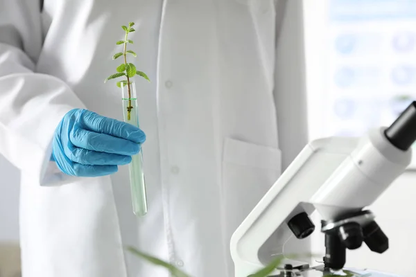 Lab-assistent bedrijf reageerbuis met plant op onscherpe achtergrond, close-up. Biologische chemie — Stockfoto