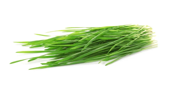 Grünes Bio-Weizengras auf weißem Hintergrund — Stockfoto