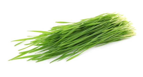 Grünes Bio-Weizengras auf weißem Hintergrund — Stockfoto
