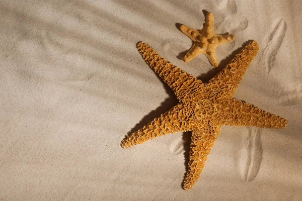 Starfishes na pláži písek, pohled shora. Prostor pro text — Stock fotografie