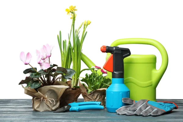 Kompozycja z rośliny i narzędzia ogrodnicze na stole na białym tle — Zdjęcie stockowe