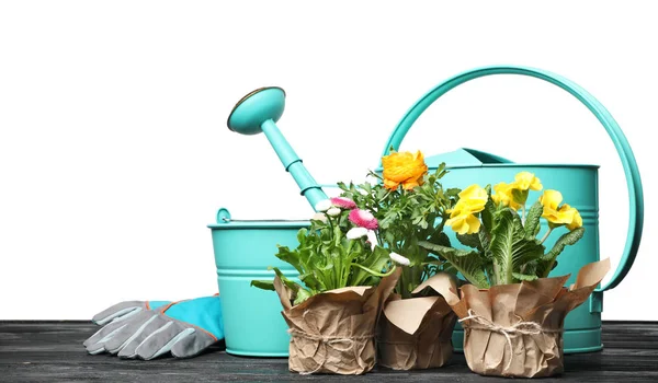 Composição com plantas e ferramentas de jardinagem na mesa contra fundo branco — Fotografia de Stock