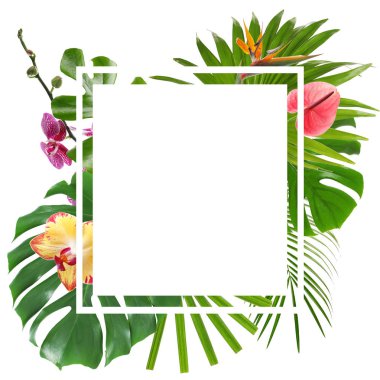 Tropikal yaprak ve çiçek beyaz arka plan, metin için yer ile yapılan çerçeve