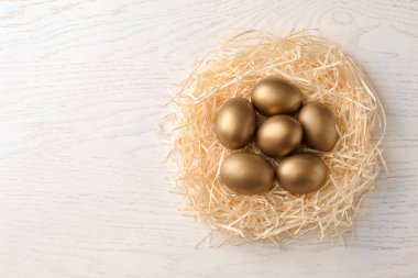 Altın yumurta yuva ahşap arka plan üzerinde en iyi görünüm için metin alanı ile