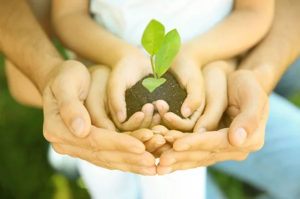 Familie bedrijf bodem met groene plant in handen, close-up. Vrijwilliger van de Gemeenschap — Stockfoto