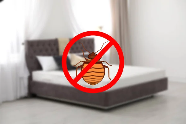 Modern clean mattress without bed bugs in room — Stock Photo, Image