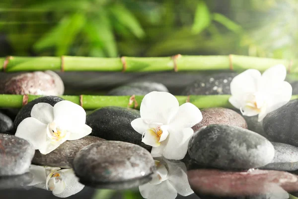 Steine mit Blumen und Bambuszweigen im Wasser, Nahaufnahme. Zen, Gleichgewicht, Harmonie — Stockfoto