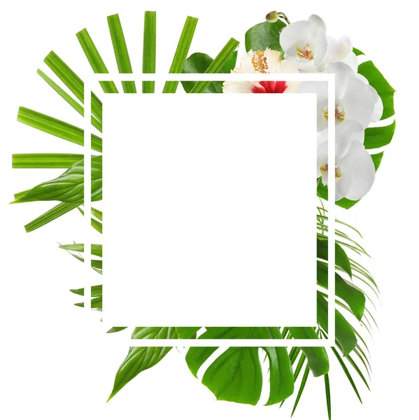 Frame made with tropical leaves and flowers on white background, space for text