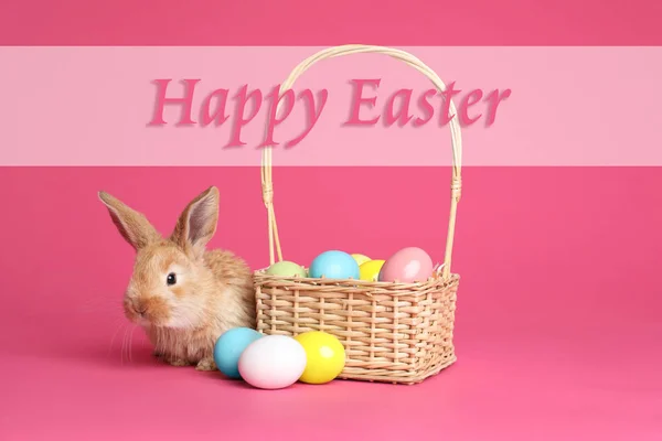 Adorable conejito peludo cerca de canasta de mimbre con huevos teñidos y texto Feliz Pascua sobre fondo de color — Foto de Stock