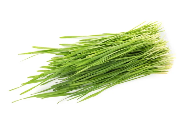 Weizengras auf weißem Hintergrund, Draufsicht — Stockfoto