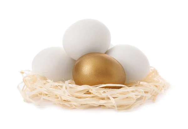 Gouden ei o.a. in nest op witte achtergrond — Stockfoto