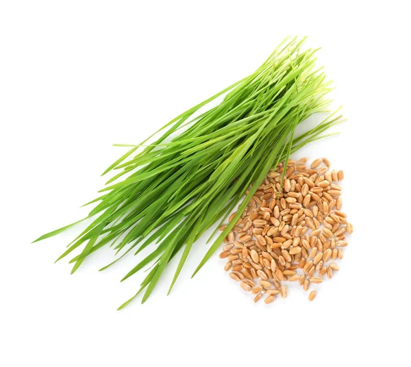 Composition with wheat grass and seeds on white background, top view — Stock Photo, Image