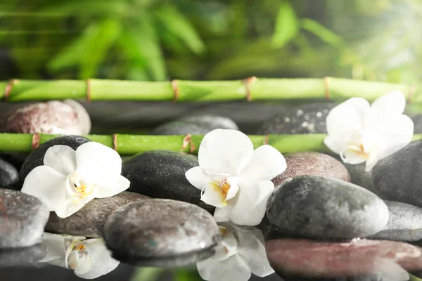 Stones with flowers and bamboo branches in water, closeup. Zen, balance, harmony Stock Photo