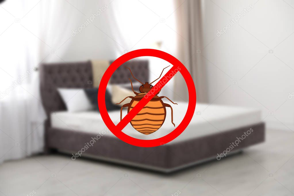 Modern clean mattress without bed bugs in room