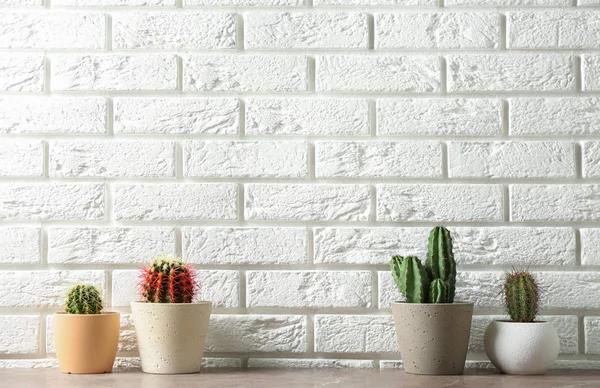 Différents cactus en pot sur la table près du mur de briques, espace pour le texte. Décor intérieur — Photo