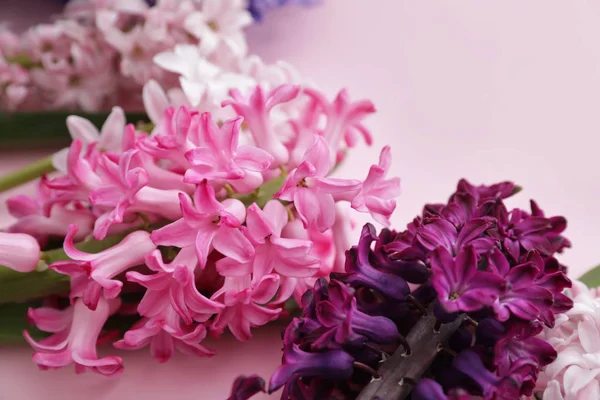 Красиві весняні квіти гіацинта на кольоровому фоні, крупним планом — стокове фото