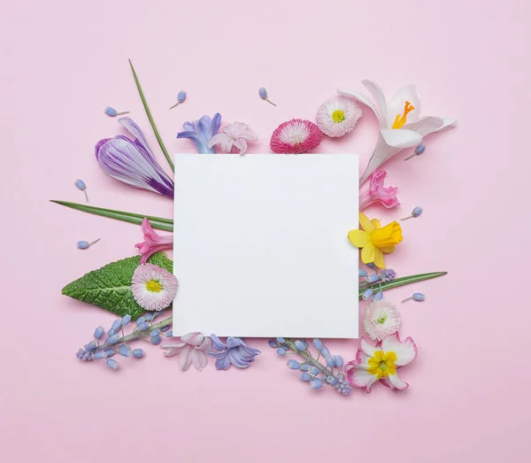 Плоская композиция с весенними гиацинтовыми цветами и пустой карточкой на цветном фоне, место для текста — стоковое фото