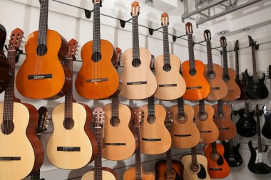 Müzik mağazasında farklı gitarların satırları
