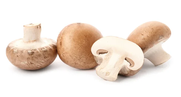 Champignons crus frais sur fond blanc — Photo