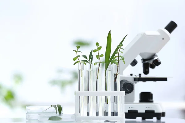 Artículos de vidrio de laboratorio con diferentes plantas y microscopio en la mesa contra fondo borroso, espacio para el texto. Investigación química —  Fotos de Stock