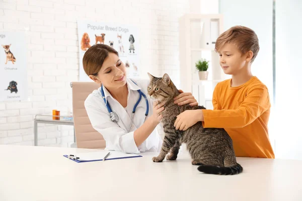그의 고양이와 함께 병원에서의 의사를 방문 하는 소년 — 스톡 사진