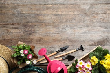 Ahşap arka planda metin için Bahçe Ekipmanları ve alan ile düz yatıyordu kompozisyon