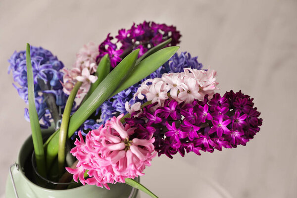 Beautiful hyacinths in metal can on blurred background, closeup. Spring flowers