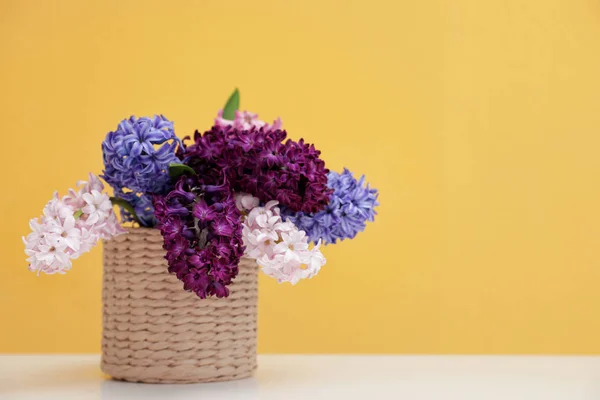 Hermosos jacintos en maceta de mimbre en la mesa contra el fondo de color, espacio para el texto. Flores de primavera — Foto de Stock
