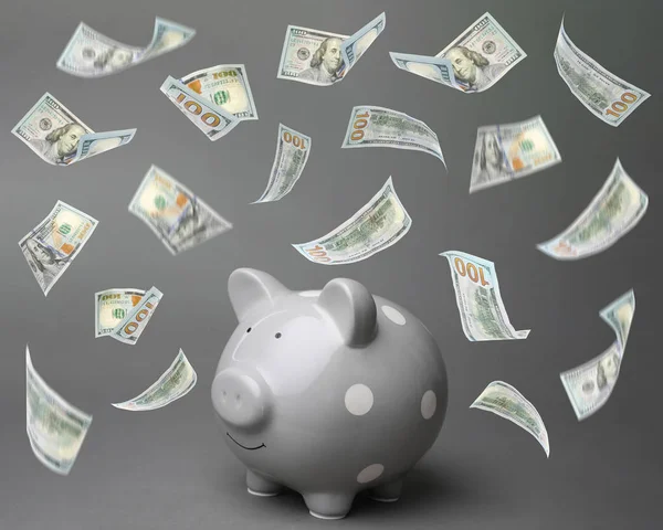 Симпатичні Piggy Bank і політ американських доларів на кольоровий фон — стокове фото
