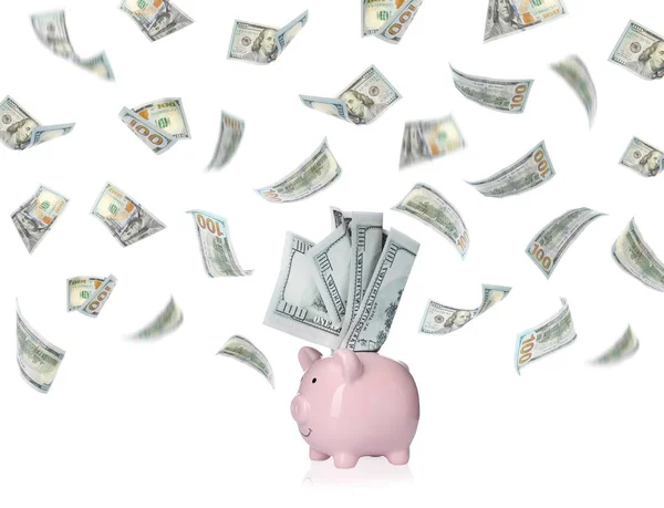 Симпатичні Piggy Bank і політ американських доларів на білому тлі — стокове фото
