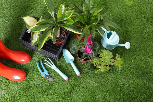 Επίπεδη σύνθεση lay με εργαλεία κηπουρικής σε πράσινο γρασίδι — Φωτογραφία Αρχείου