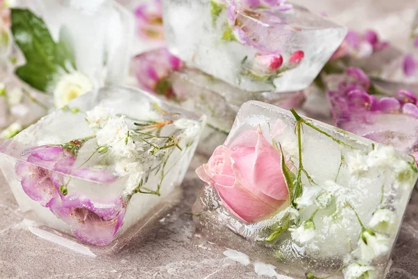 테이블, 근접 촬영 보기에 꽃 얼음 조각 — 스톡 사진