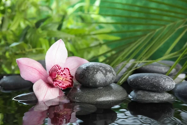 Zen-Steine und exotische Blumen im Wasser vor verschwommenem Hintergrund. Raum für Text — Stockfoto