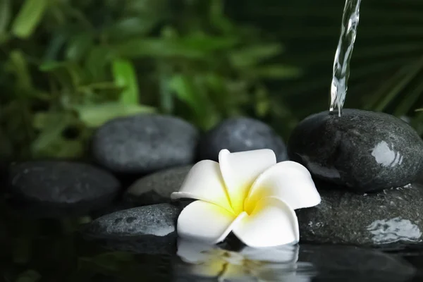 Zen stenar och blomma i vatten mot suddig bakgrund — Stockfoto